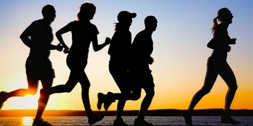 Facts and Myths About Cardio Training