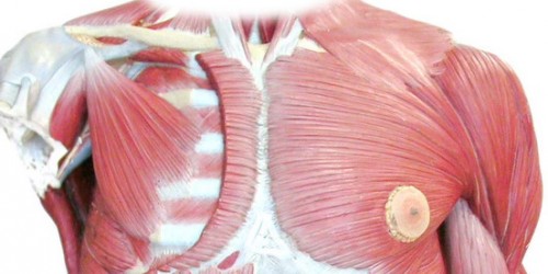 Amyotrophic Lateral Sclerosis: Symptoms and Treatment of ALS