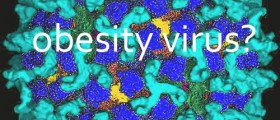 Can Obesity Spread Like a Virus?