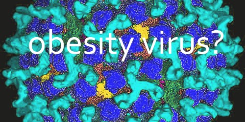 Can Obesity Spread Like a Virus?