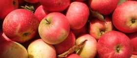 Is Healthy Eating for the Rich Only?