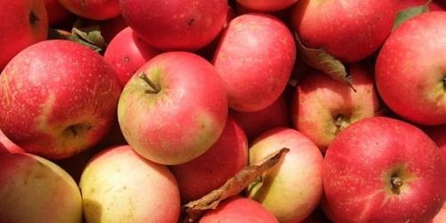 Is Healthy Eating for the Rich Only?