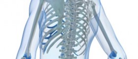 Natural Treatment For Osteoporosis