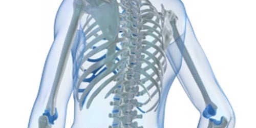 Natural Treatment For Osteoporosis