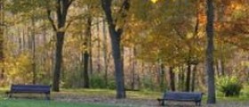 Living a Long Life: Genetics or a Way of Life?