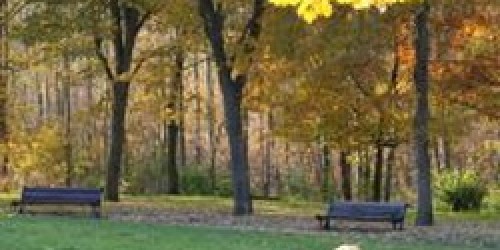 Living a Long Life: Genetics or a Way of Life?