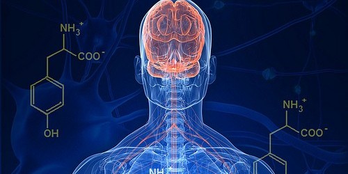 A Personal Perspective On Preventing The Progression Of Parkinson's Disease