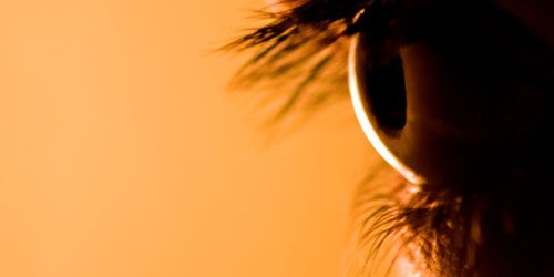 Break Through! Implanted Chip Will Let Blind People See