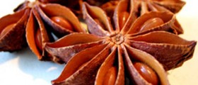 The Most Powerful Herbs And Spices To Heal Your Flu