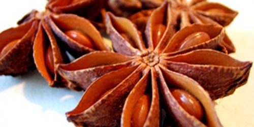 The Most Powerful Herbs And Spices To Heal Your Flu