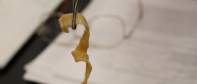 Intestinal Infections with Tapeworm Parasites
