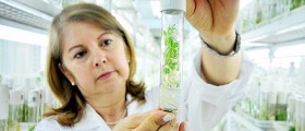 The Top Ten Greatest Medical Discoveries of 2011