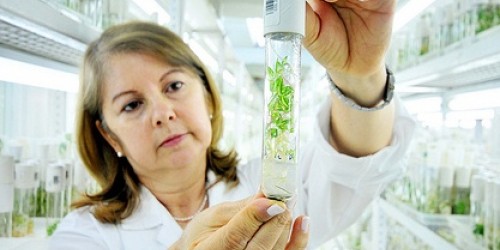 The Top Ten Greatest Medical Discoveries of 2011