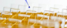 Progress on Stem Cell Alternative without Using Embryos