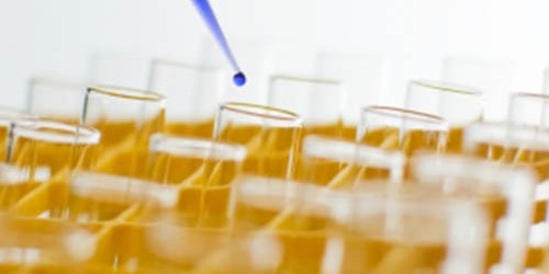 Progress on Stem Cell Alternative without Using Embryos