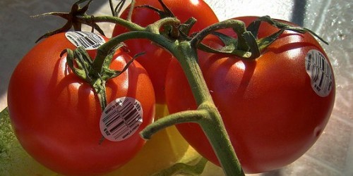 Do You Know What Produce Labels Mean?