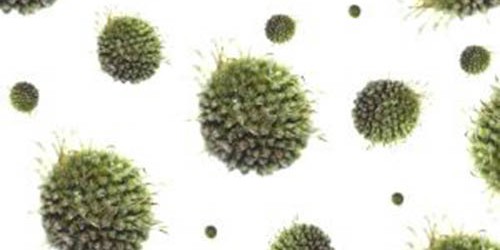 New Hepatitis C Drug Promises Hope with Fewer Side Effects