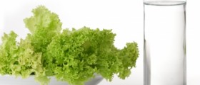 Detox Diet Against Candida
