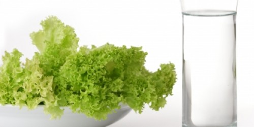 Detox Diet Against Candida