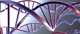 How do Genetics Impact Behavior and Personality