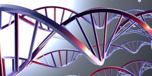 How do Genetics Impact Behavior and Personality