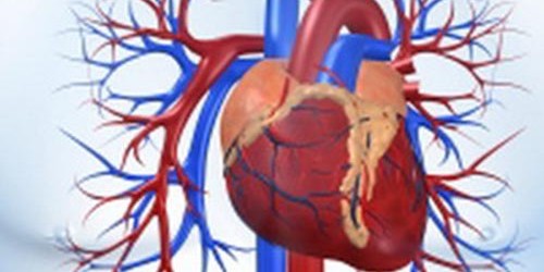 Thrombotic thrombocytopenic purpura (TTP): a rare Blood Disorder