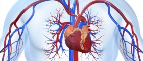Chelation Therapy for Heart Disease
