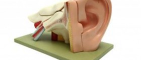 List of Home Remedies for Ear Infection
