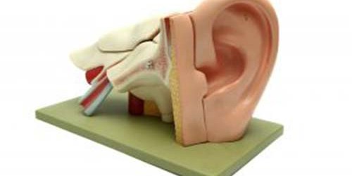 List of Home Remedies for Ear Infection
