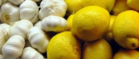 The Most Powerful Natural Antibiotics