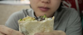 Chewing More Can Result in Weight Loss