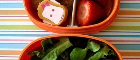 If You are Packing Lunch for Your Kid, It is Very Possible Snack is Kept at Unsafe Temperatures