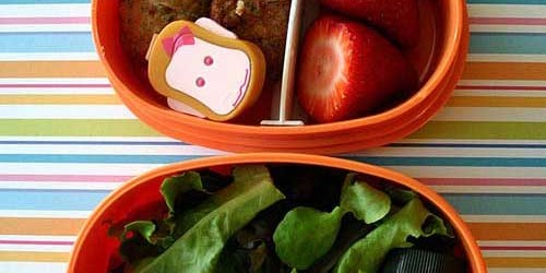 If You are Packing Lunch for Your Kid, It is Very Possible Snack is Kept at Unsafe Temperatures