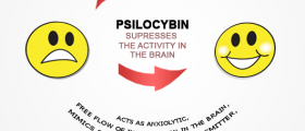 Psychedelic Mushrooms - A New Antidepressant?