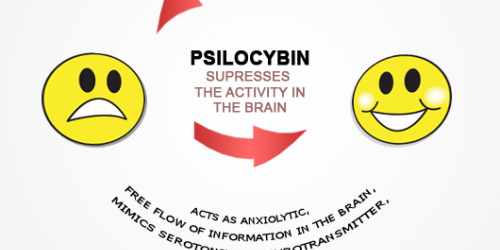 Psychedelic Mushrooms - A New Antidepressant?