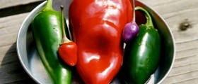 Ten Veggies You Should Be Eating This Summer