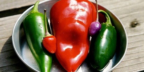 Ten Veggies You Should Be Eating This Summer