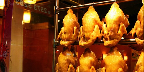 Arsenic in Chicken Feed: FDA Data Prompts Pfizer to Suspend Poultry Drug Roxarsone