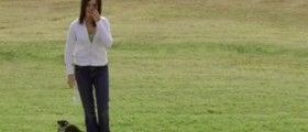 Dog Walking: Better Health for Dogs and Owners