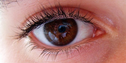 Natural Eye Health Supplements: Do they Work?