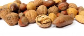 Brain Snacks: Foods That Improve Concentration