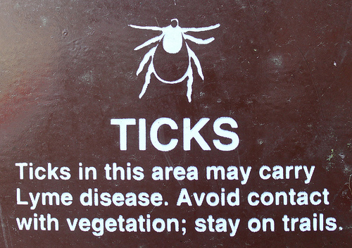 tick_lyme_disease.jpg