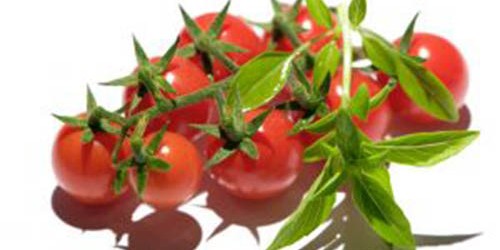 Natural Defenders Of Your Prostate