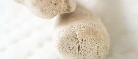 7 Super Foods For Stronger Bones