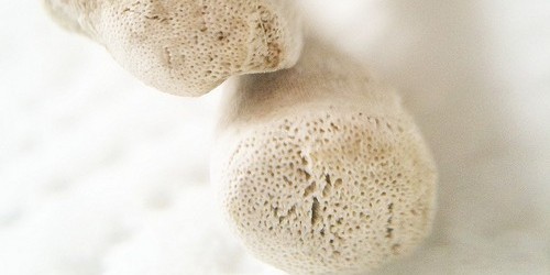 7 Super Foods For Stronger Bones