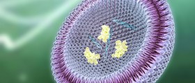 Predominantly Women's Diseases Found In Men, Too