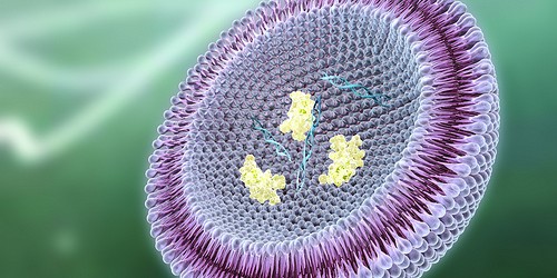 Predominantly Women's Diseases Found In Men, Too