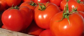 Picky Eater, Here Is Your List Of Healthy Foods