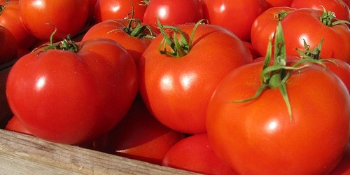 Picky Eater, Here Is Your List Of Healthy Foods