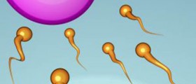 Overview of Male Fertility Treatments